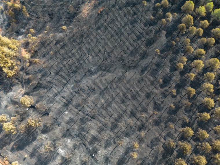 Conséquences d'un incendie de forêt dans la province nord-occidentale de Çanakkale en Turquie vues par drone