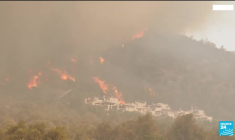 Incendies en Turquie : le feu aux portes d'une centrale thermique à Milas