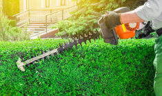 Jardin, comment éviter les nuisances de voisinage-iStock-todaydesign