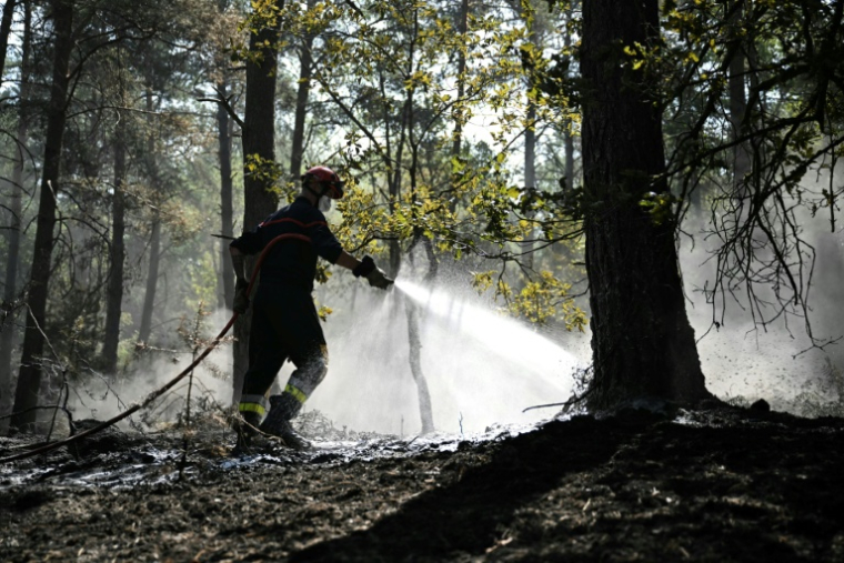Un pompier arrose le sous-bois lors d'un incendie dans la forêt de Fontainebleau, à Noisy-sur-École, le 16 juillet 2026 en Seine-et-Marne ( AFP / LOU BENOIST )