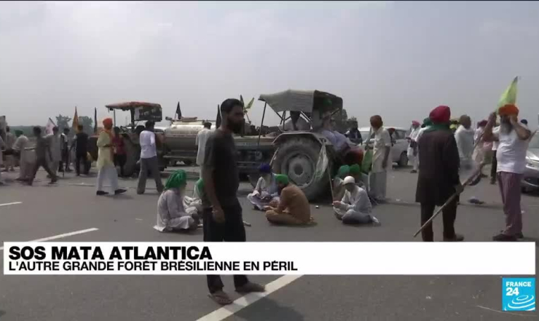 Réforme agraire en Inde : les agriculteurs cherchent à relancer la contestation