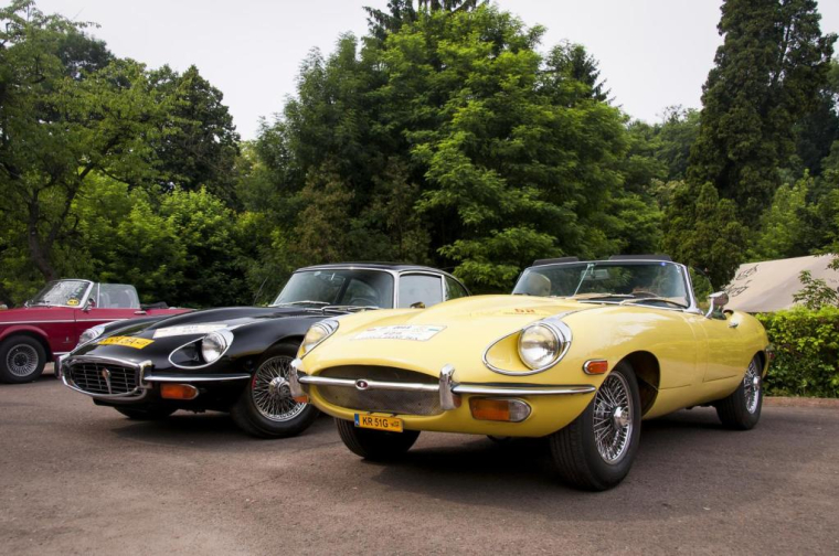 Giovanni Love/Shutterstock / Giovanni Love