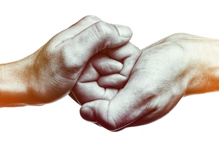 crédit photo : SvetaZi/Shutterstock / SvetaZi