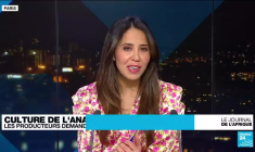 Culture de la noix de cajou en Guinée Bissau : les producteurs demandent un prix acceptable