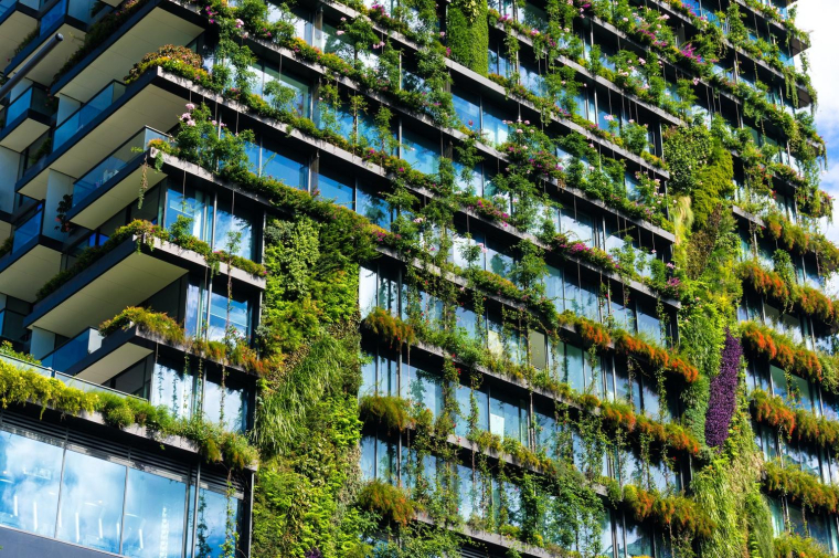 De nombreuses copropriétés optent pour la conception de toitures végétalisées au-dessus de leur bâtiment. crédit photo : Olga Kashubin/Shutterstock / Olga Kashubin