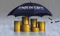 La baisse des taux d'intérêt fragilise la protection qu'offre le fonds en euros. (© Fotolia)