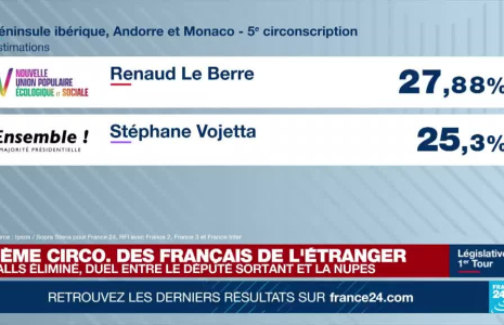 Législatives : comment ont voté les circonscriptions européennes des Français de l'étranger ?