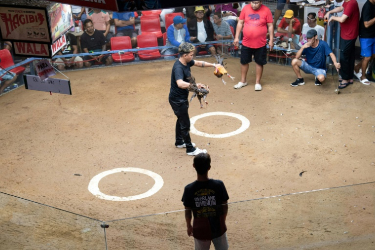Sur cette photo prise le 5 juillet 2025, des gens assistent à un combat de coqs dans la province de Bulacan, en banlieue de Manille ( AFP / Ted ALJIBE )