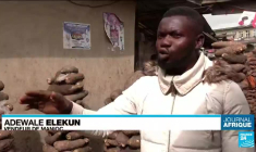 Nigeria : Culture intensive, utilisation de pesticides...Les menaces planent sur le manioc