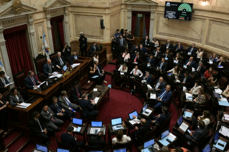 Des parlementaires après le vote d'approbation de l'accord de libre-échange entre l'UE et le Mercosur au Parlement argentin, le 26 février 2026 ( AFP / Juan Mabromata )