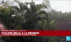 Cyclone Belal à La Réunion : "On a dû évacuer la population sur le littoral"
