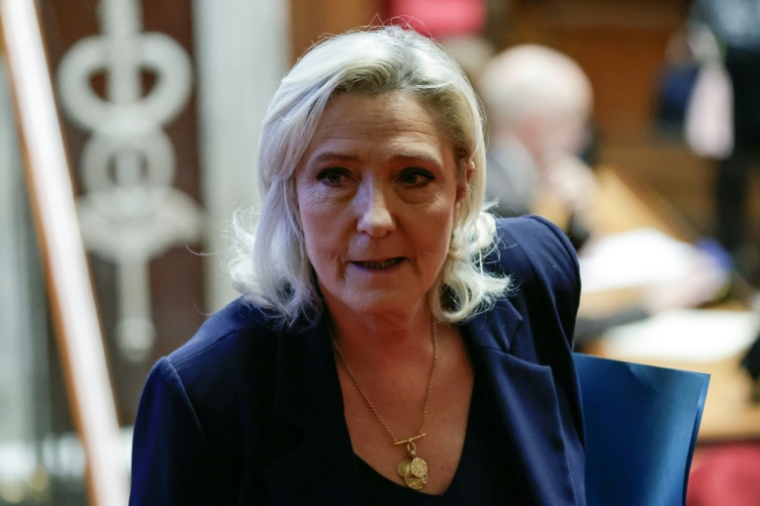 Marine Le Pen le 23 janvier 2026 à Paris ( AFP / STEPHANE DE SAKUTIN )