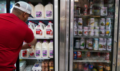 Le marché El Progreso dans le quartier Mount Pleasant à Washington