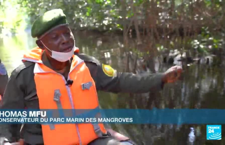 RD Congo : le parc marin des mangroves, une zone humide d'importance internationale à préserver