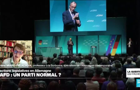 L'AFD : un parti normal ?