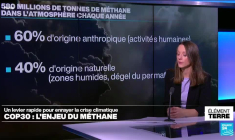 COP30 : l'enjeu du méthane, un levier rapide pour enrayer la crise climatique