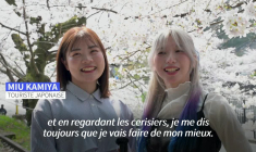 La saison des cerisiers en fleurs atteint son pic au Japon