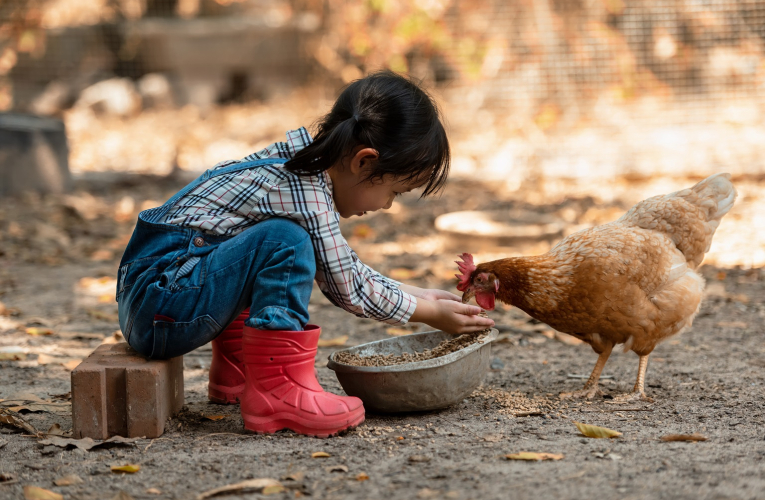La vie à la ferme et le contact avec les animaux «protègent» contre la survenue des manifestations d'allergie pendant l'enfance. (crédit : Adobe Stock)