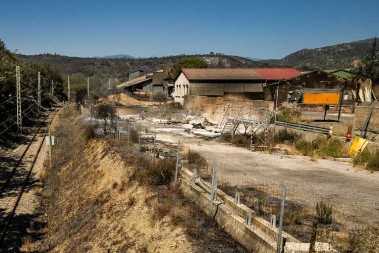 Les talus brulés le long de la ligne SNCF entre Perpignan et Villefranche près de Ille-sur-Têt dans les Pyrénées Orientales, photographiés le 7 juillet 2026, après un incendie ( AFP / Jean-Christophe MILHET )
