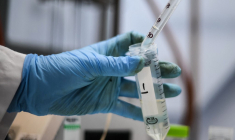 ( POOL / DANIEL LEAL )