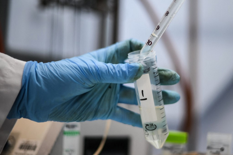 ( POOL / DANIEL LEAL )