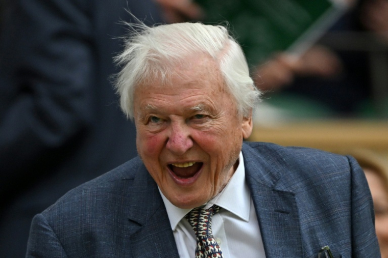 Le naturaliste britannique David Attenborough au tournoi de tennis de Wimbledon, le 1er juillet 2024 ( AFP / Glyn KIRK )