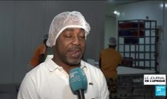 Togo : le succès des poissons tilapias