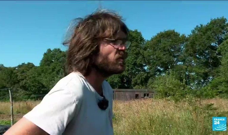 Vague de chaleur en France : les agriculteurs s'inquiètent