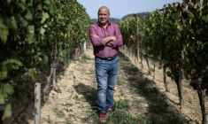 Filippo Mobrici, président du Consorzio Barbera d'Asti, le 21 septembre 2026 dans un vignoble près de la ville italienne d'Asti ( AFP / Marco Bertorello )
