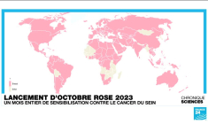 Octobre rose : l'épigénétique ouvre une nouvelle voie thérapeutique
