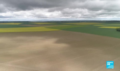 Les NBT, des OGM bis ?