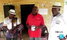 Au Cameroun, l'huile de palme de la discorde