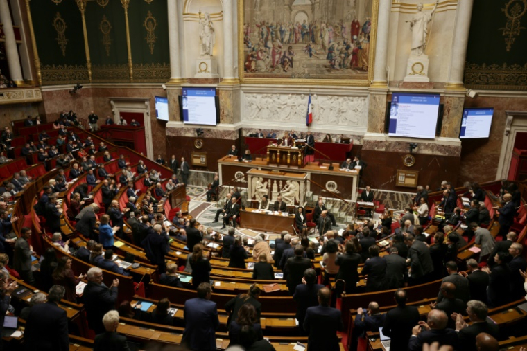 Séance à l'Assemblée nationale, le 11 février 2025 ( AFP / Thibaud MORITZ )