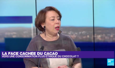 "Les pays producteurs de cacao ont peu de pouvoir sur les prix"