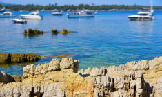 Un projet immobilier sous haute surveillance va voir le jour sur la très exclusive Iles Saint-Marguerite, en face de Cannes. crédit photo : Shutterstock