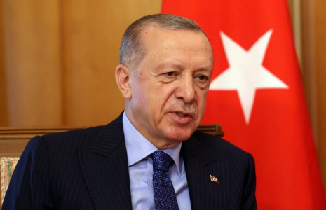 ERDOGAN FAIT ÉTAT DE RÉUNIONS FRUCTUEUSES EN RUSSIE