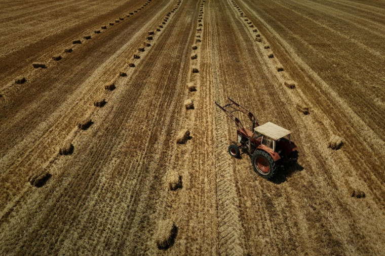 Vue aérienne d'un tracteur dans un champ moissonné, parsemé de bottes de paille, après une récolte de céréales précoce en raison d'une vague de chaleur estivale, près de Ségalas, le 8 juillet 2026 dans le Lot-et-Garonne ( AFP / Philippe LOPEZ )