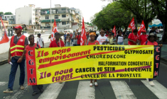 Manifestation pour réclamer "la vérité et des réparations" pour les victimes du chlordécone, le 28 octobre 2023 à Fort-de-France, en Martinique ( AFP / Thomas THURAR )