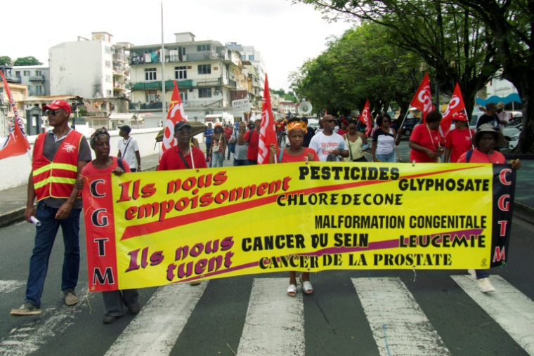 Manifestation pour réclamer "la vérité et des réparations" pour les victimes du chlordécone, le 28 octobre 2023 à Fort-de-France, en Martinique ( AFP / Thomas THURAR )