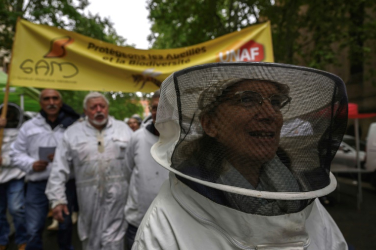 Manifestation d'apiculteurs contre les pesticides à Toulouse, le 27 avril 2025 ( AFP / Ed JONES )