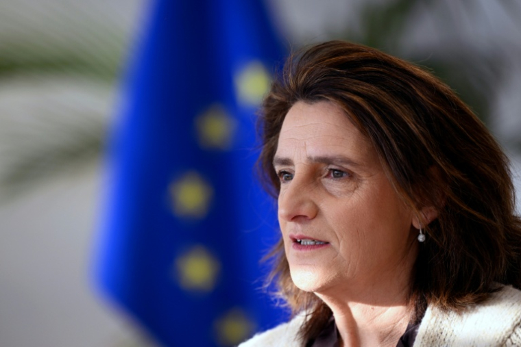 Teresa Ribera, vice-présidente de la Commission européenne, répond aux questions de l'AFP à Bruxelles le 30 janvier 2026   ( AFP / Nicolas TUCAT )