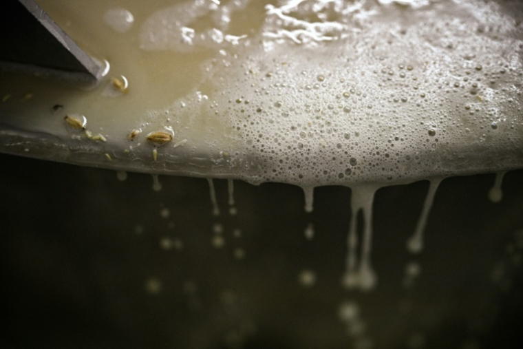 De l'écume se forme à la surface d'une cuve dans la Brasserie Croix de Chavaux, le 20 juin 2025 à Montreuil, en Seine-Saint-Denis ( AFP / JULIEN DE ROSA )