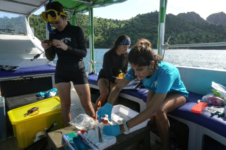 Des scientifiques préparent leur matériel sur un bateau, lors d'une collecte d'ADN environnemental pour la conservation du dugong dans l'océan Indien, au nord de Mayotte, le 22 mai 2026 ( AFP / Marine GACHET )