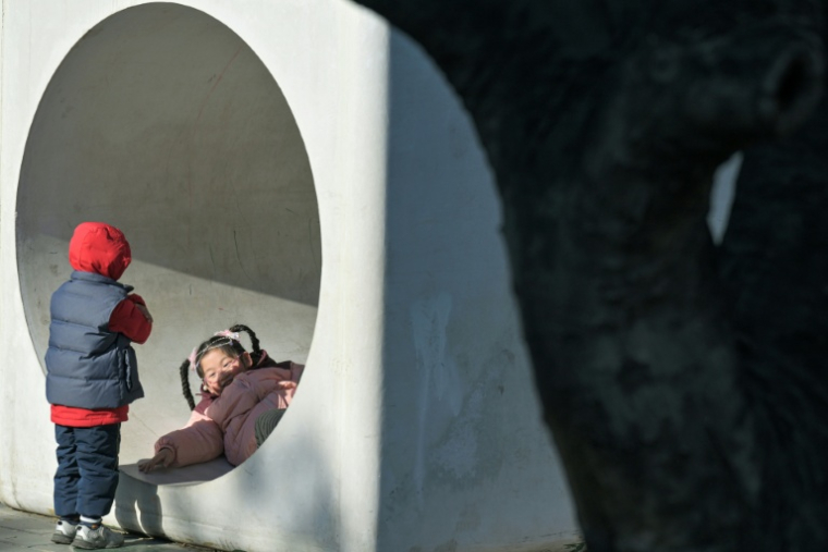 Des enfants dans un parc à Pékin, le 3 janvier 2026 ( AFP / Adek BERRY )