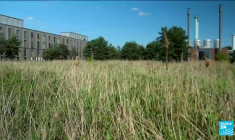 Gestion des eaux pluviales à Berlin : la capitale allemande se transforme en ville-éponge