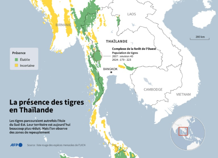 Carte montrant l'étendue de la répartition des tigres en Thaïlande, selon les données de la Liste rouge des espèces menacées de l'Union internationale pour la conservation de la nature (UICN) ( AFP / John SAEKI )