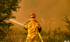 Photo non datée, diffusée le 17 août 2026 par VHP, montrant un pompier luttant contre un feu de forêt dans la réserve naturelle des Hautes Fagnes, en Belgique ( VHP / Steph Picture )