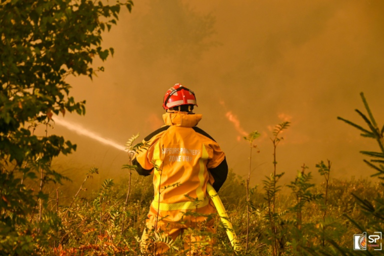 Photo non datée, diffusée le 17 août 2026 par VHP, montrant un pompier luttant contre un feu de forêt dans la réserve naturelle des Hautes Fagnes, en Belgique ( VHP / Steph Picture )