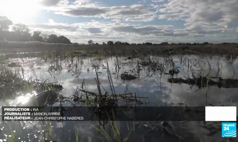 Caractères de Camargue