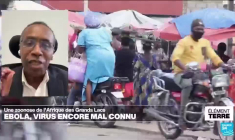 Ebola: Une zoonose de l'Afrique des Grands Lacs encore mal connue